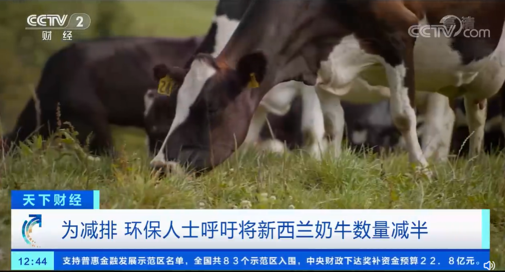 新西兰农业部长：新西兰杀牛减排或严重破坏经济