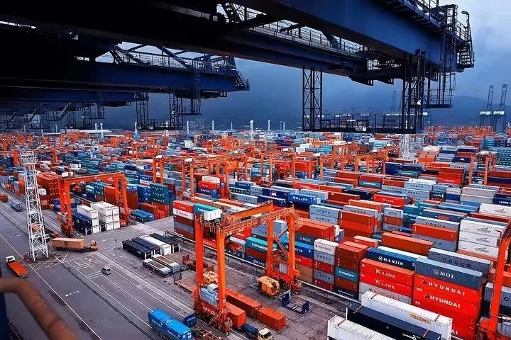 新西兰更新进口海运集装箱检疫及申报要求