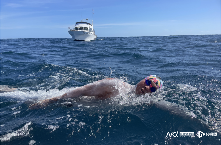 “没遇到鲨鱼 还算运气” 东莞泳将成功横渡新西兰库克海峡