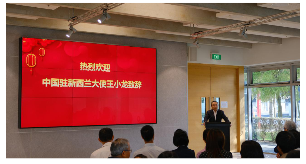 王小龙大使出席新中科技教育协会15周年庆典活动