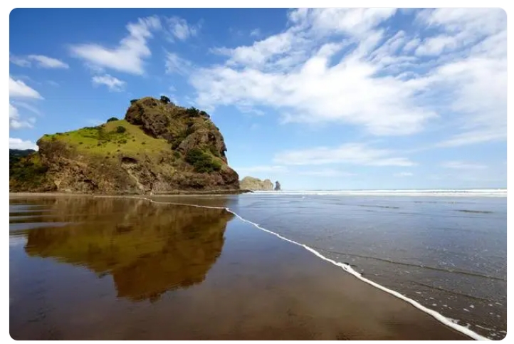 新西兰周边海洋和沿海水域温度创1982年以来新高